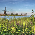 Springtime at Kinderdijk